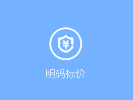 服务项目标题六